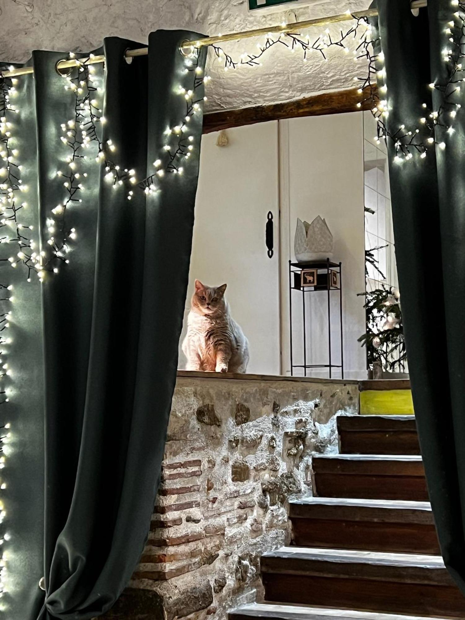Sci Les Remparts De Mirepoix Bed and Breakfast Mirepoix  Εξωτερικό φωτογραφία